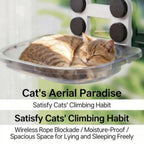 Cozy Window Cat Hammock – Space-Saving & Comfortable