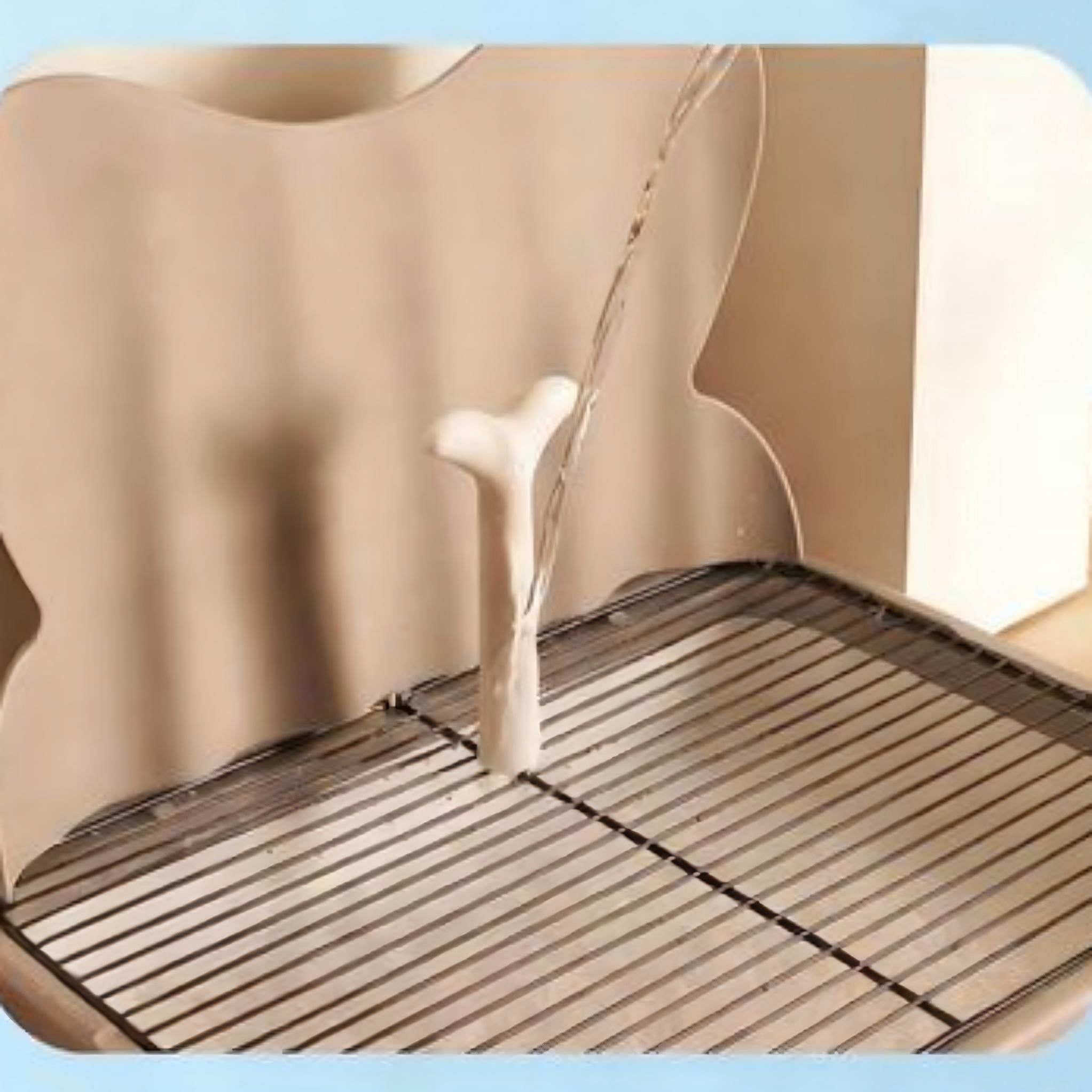 Large Dog Toilet Tray with Drawer Design for Indoor Potty Training