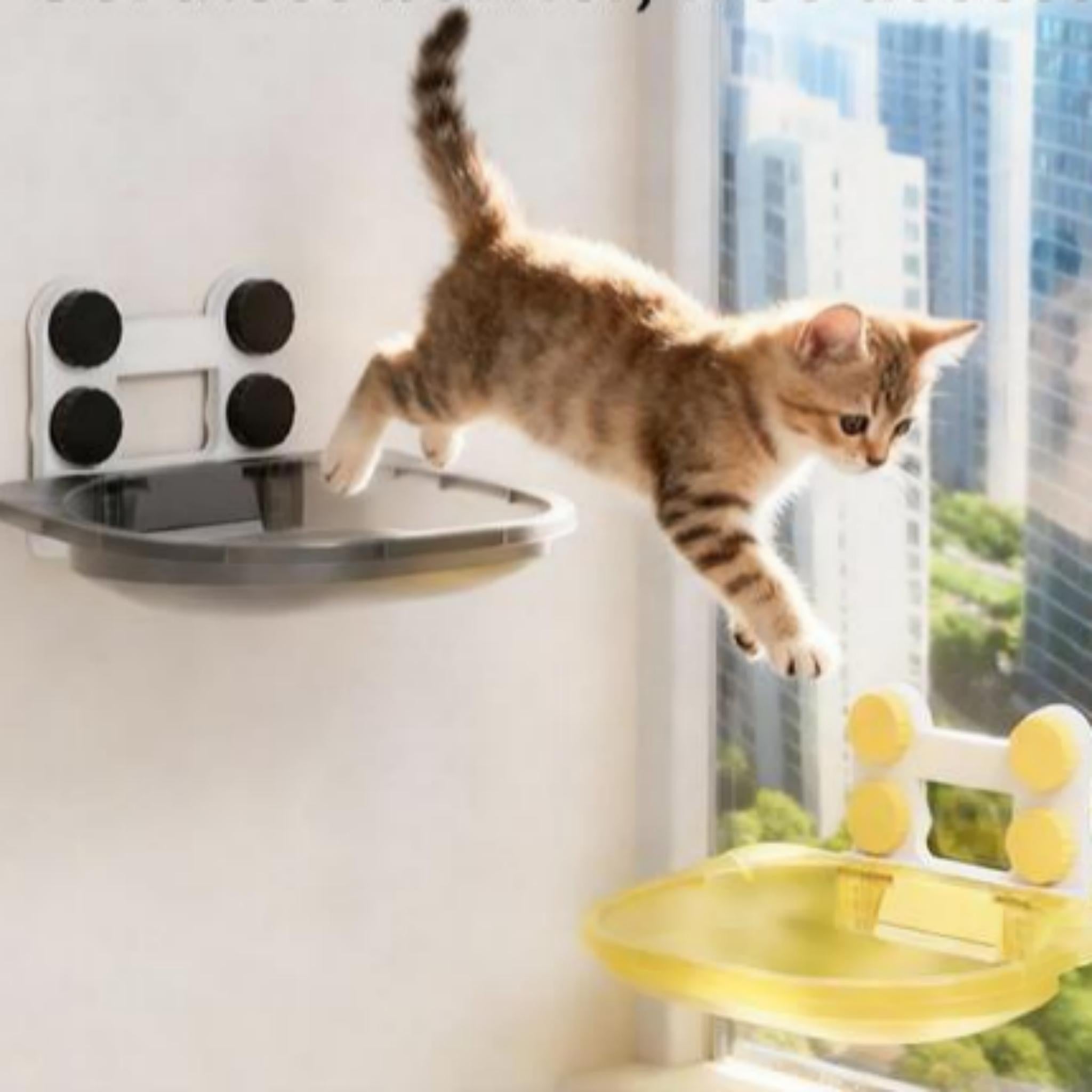 Cozy Window Cat Hammock – Space-Saving & Comfortable